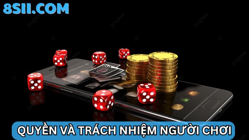 chính sách bảo mật 8S về quyền và trách nhiệm người chơi
